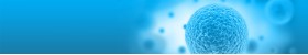 Annexin V Apoptosis Detection Kits