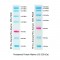 Prestained Protein Marker (4×250 μl)