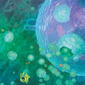 Adenovirus POU4F3 (200 μl)