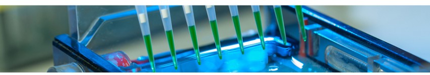 Viral DNA/RNA Extraction Kits