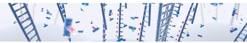 NGS Library Preparation Reagents