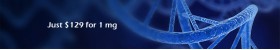 Plasmid DNA Preparation