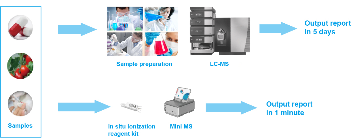 portable mass spectrometer