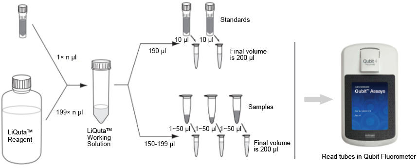 qubit dsdna br assay kit