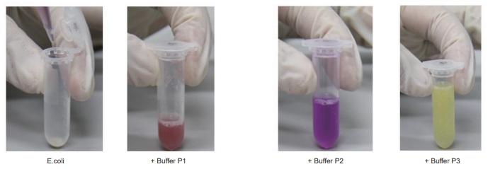 TIANprep Rapid Mini Plasmid Kit
