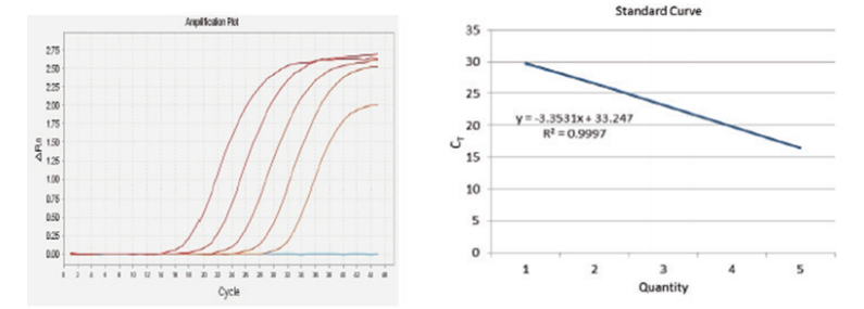 qPCR preMix probe
