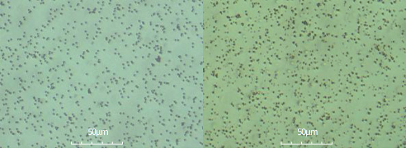 Streptavidin Magnetic Beads