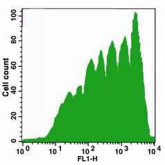 CFSE Cell Proliferation Kit