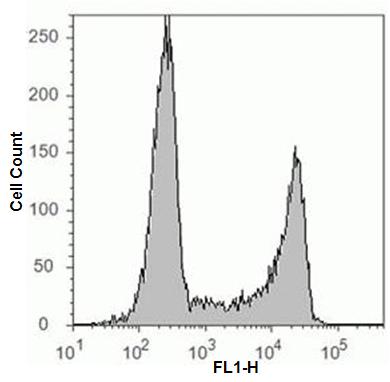 Flow Cytometry Assay Kit