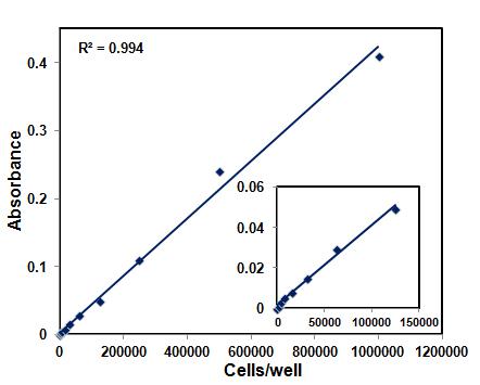mtt assay kit