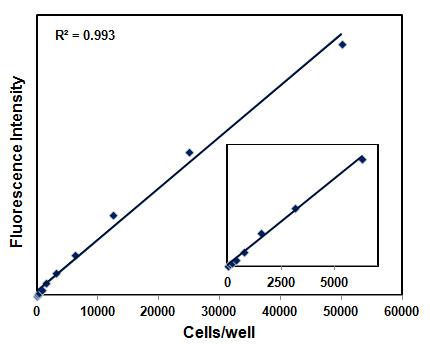 AlamarBlue Cell Viability Kit