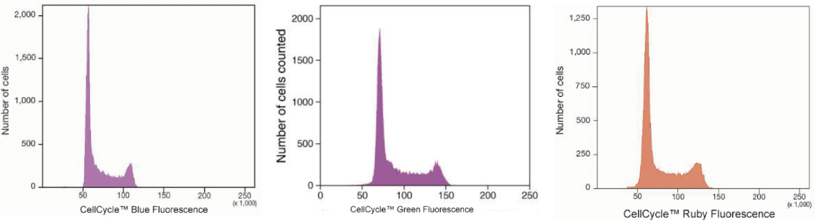 Cell Cycle Stains