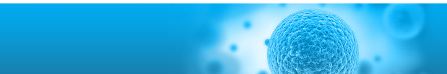Cell Counting Kits